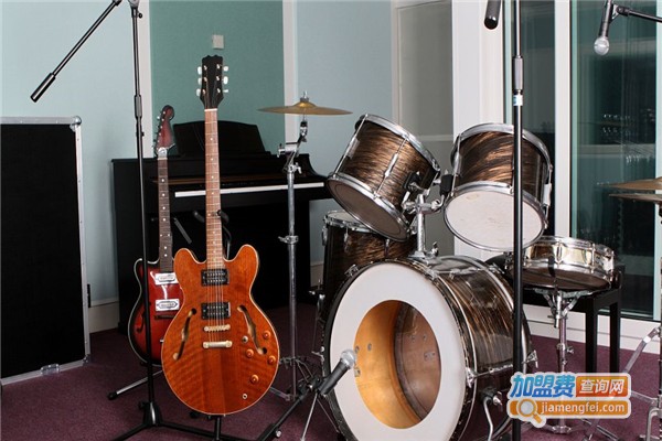 蓝湖乐器加盟费