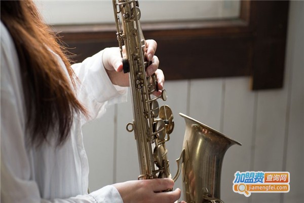 蓝湖乐器加盟费