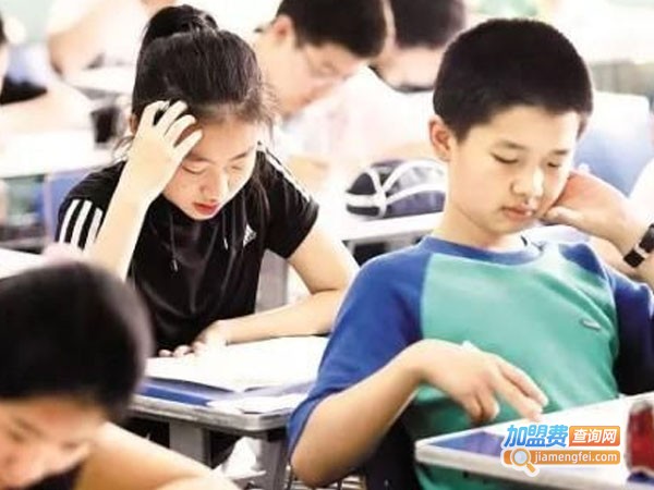 顶峰教育加盟费