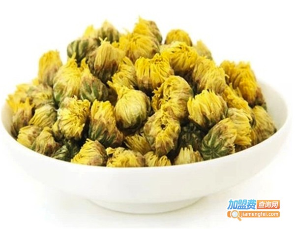 明钼1号高山有机胎菊加盟费