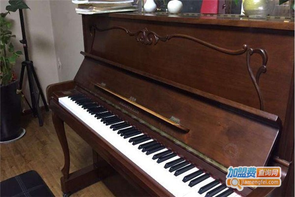 音飞艺术培训加盟费