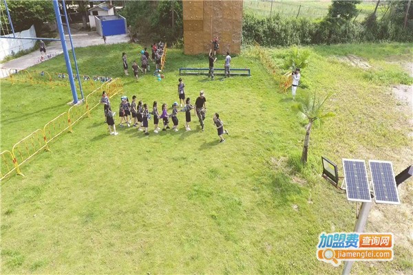 拍翼教育加盟费