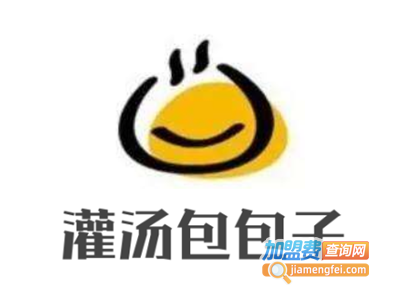 灌汤包包子