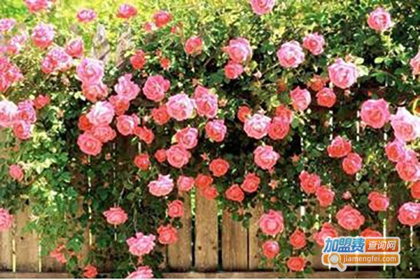 欣灵花屋