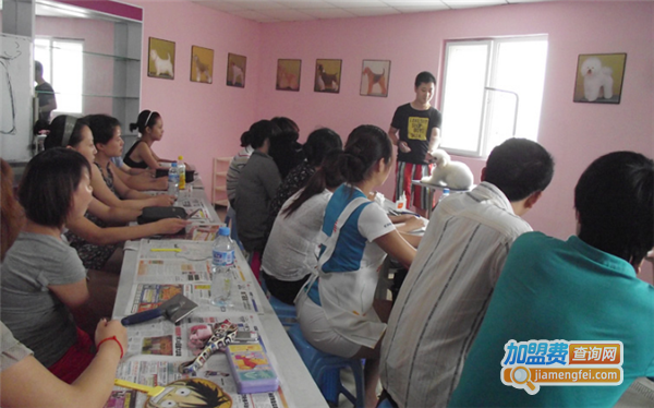 摩登宠物美容师培训加盟费