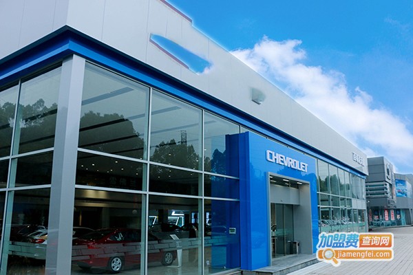 车知恋智能自动遥控车衣加盟门店