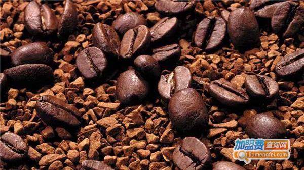 速好家咖啡吧加盟费