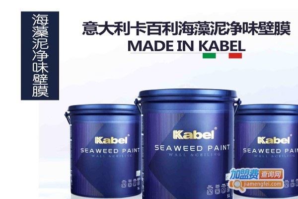 卡百利菲玛艺术涂料加盟费