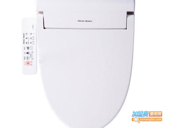 美标马桶水箱盖