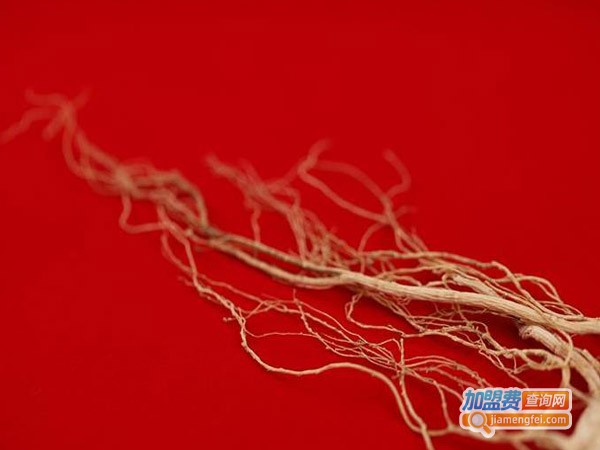 祥麟参社加盟费