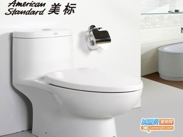 美标马桶水箱盖