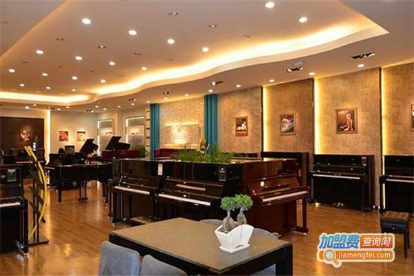 天韵琴行加盟费