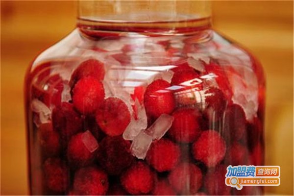 飞山杨梅酒加盟费