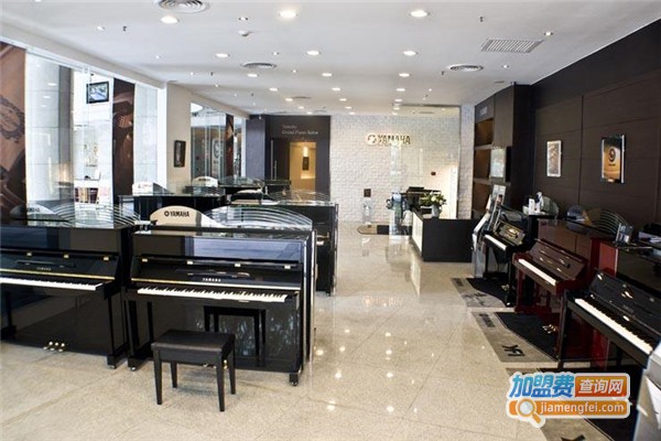 天韵琴行加盟费