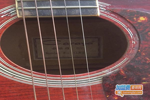 歌丽雅吉他加盟门店