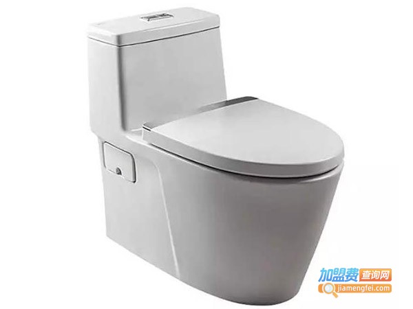 美标马桶水箱盖