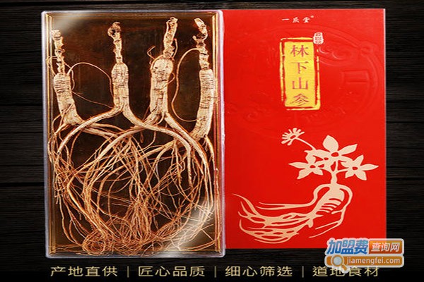 一庆堂加盟门店