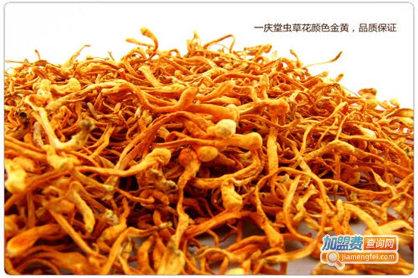 一庆堂加盟门店