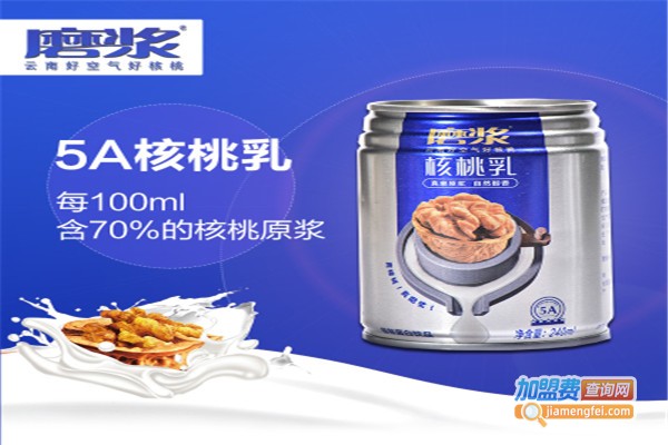 磨浆核桃乳加盟费