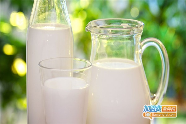 奔奔鲜奶吧加盟费