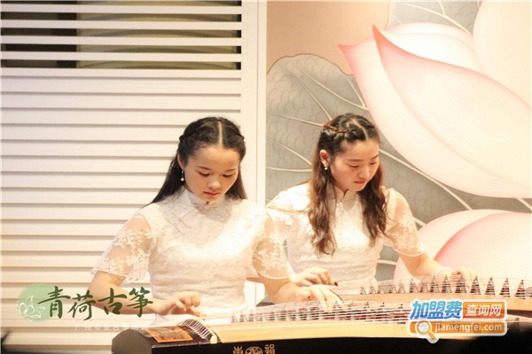 青荷古筝加盟费