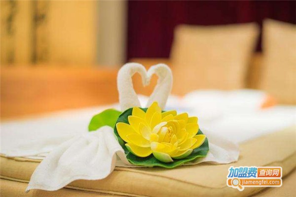 彩光美容加盟费