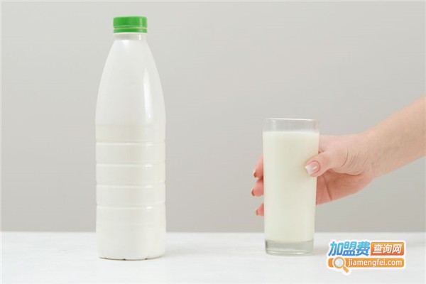 红梅牛奶加盟费