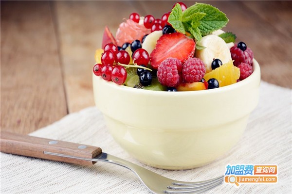 Berry Bomb酸奶冰淇淋加盟费