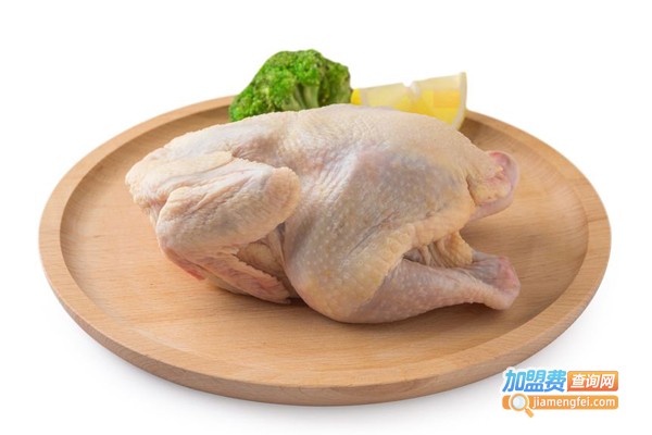 一海童子鸡加盟费