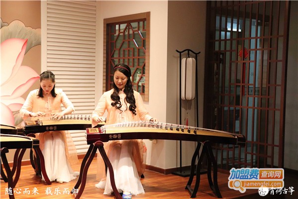 青荷古筝加盟费