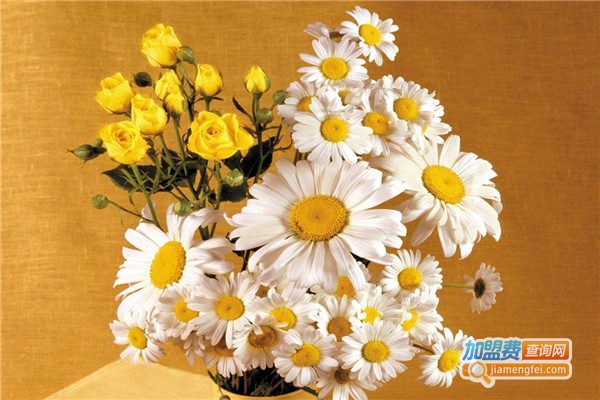 久久快乐鲜花加盟费