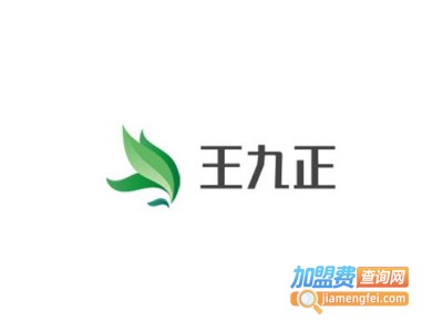 王九正膏药加盟费