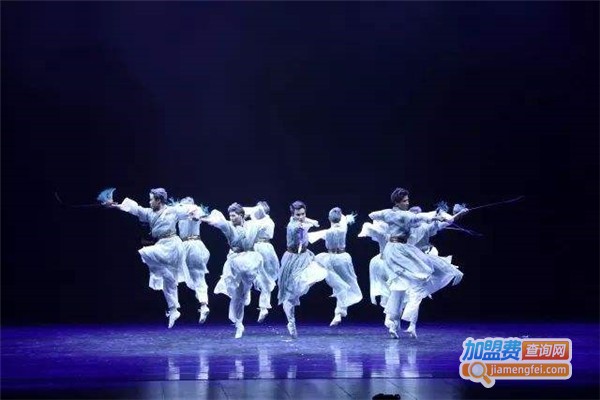 丹婷舞蹈艺术学校加盟费