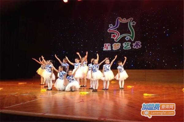 星梦艺术培训加盟费