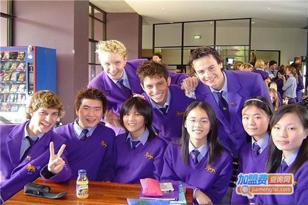 樱知叶教育加盟费