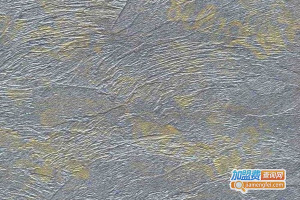 世威艺术油漆加盟