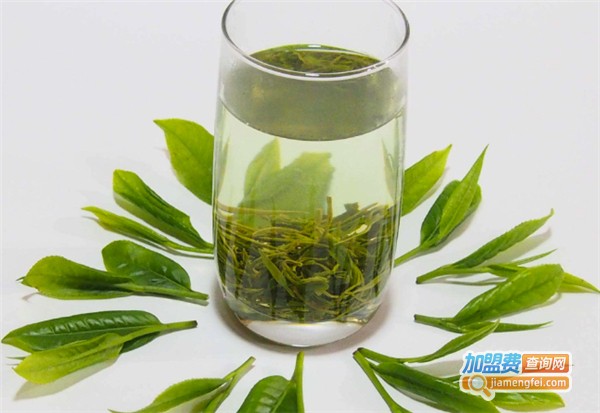 这春来茶馆