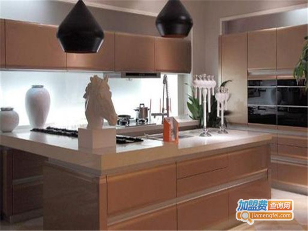 雅仕柜橱柜加盟