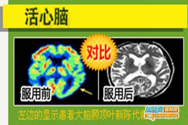 唐乐膳保健茶加盟