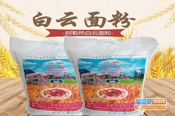 白云面食品加盟门店