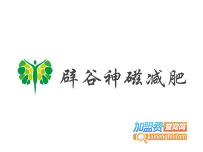 辟谷神磁减肥加盟费