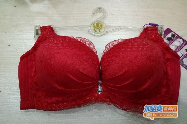 芊妍妮丝内衣加盟