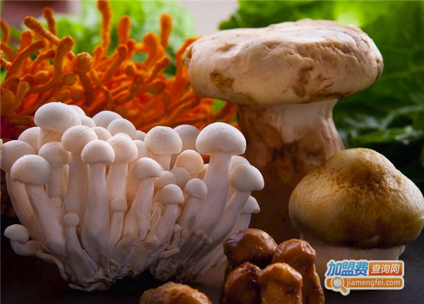 野生菌熟食加盟费