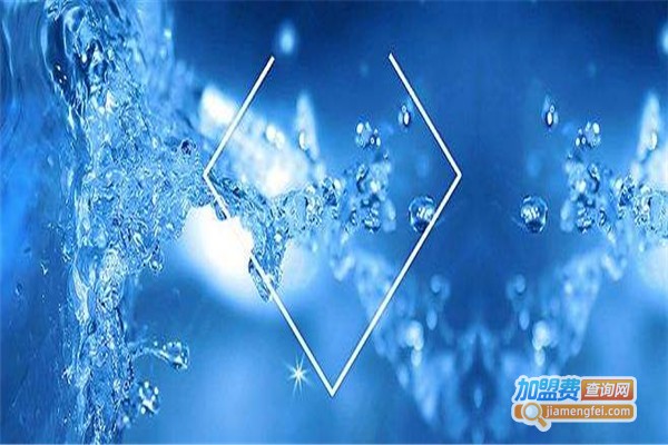 玫瑰佳人加盟费