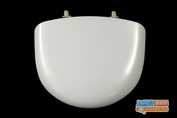 鹰牌马桶盖加盟门店