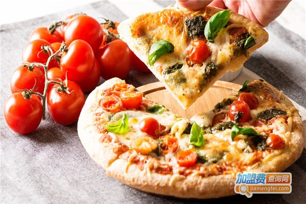 多纳多披萨加盟费