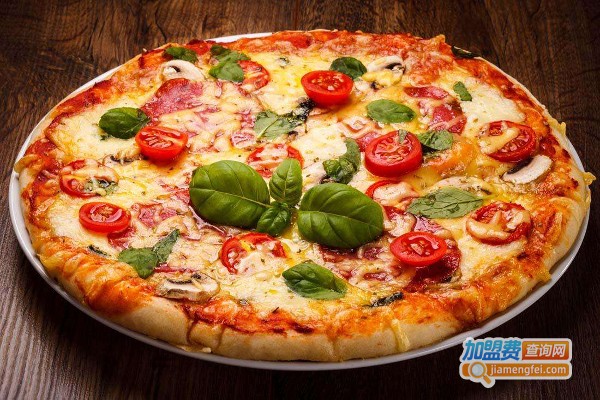 萨美勒斯披萨加盟费