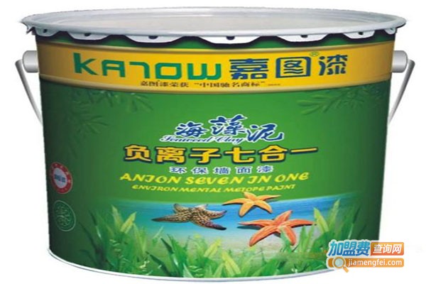 嘉图漆加盟门店