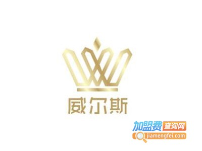 威尔斯洗衣加盟费