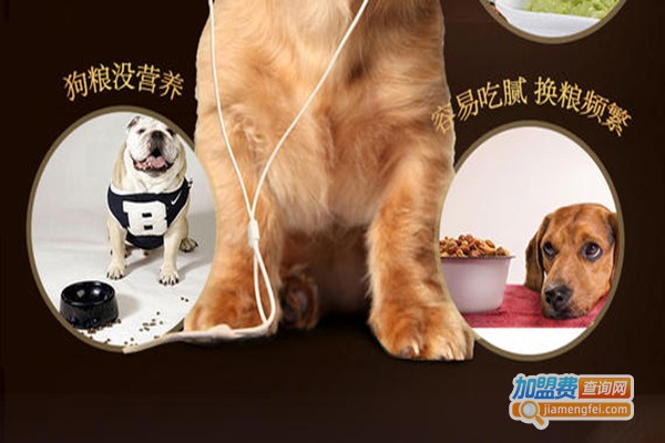 吉纳思